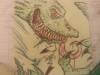 Lizard