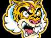 Tiger-Driver-Head-ONLINE
